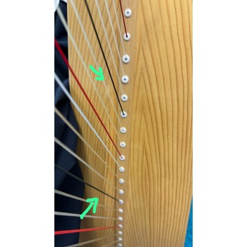 SOLD - 2nd Hand Salvi Gaia 38 strings Lever Harp SOLD - 2nd Hand Salvi Gaia 38 strings Lever Harp